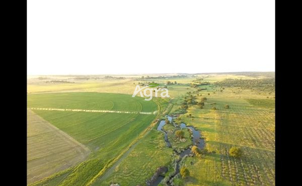 WhatsApp Image 2024-01-06 at 07.03.40_36aa5aa0