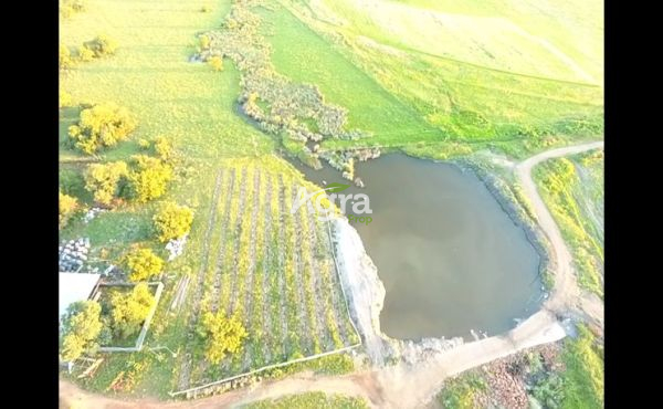 Cullinan 90ha Intensief