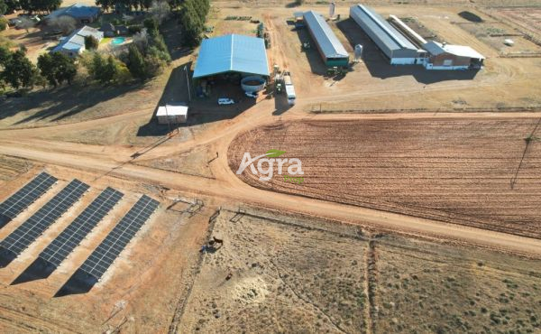 WhatsApp Image 2024-01-24 at 16.31.04_15a771db