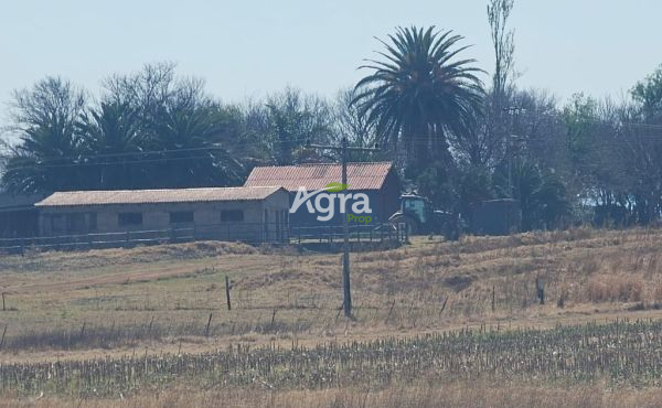 WhatsApp Image 2025-08-14 at 10.12.20_87d64ce6