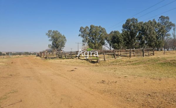 WhatsApp Image 2025-08-14 at 10.12.34_4b6a689d