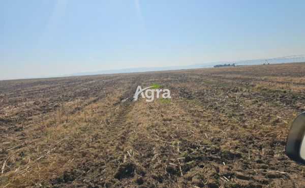 WhatsApp Image 2025-08-14 at 10.12.34_ecd8b460