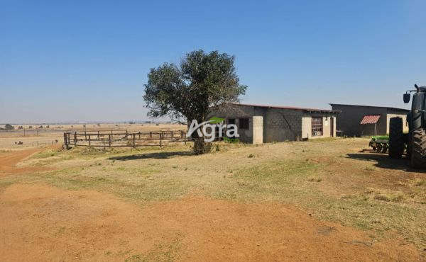 WhatsApp Image 2025-08-14 at 10.12.35_9568ebee