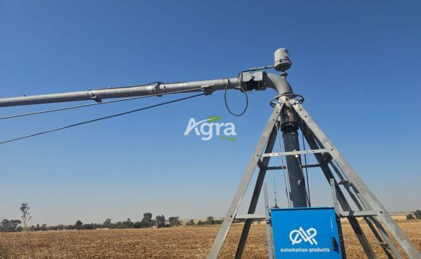 WhatsApp Image 2025-08-14 at 10.12.37_fb1a0ead