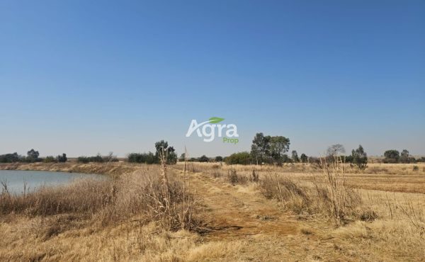 WhatsApp Image 2025-08-14 at 10.12.38_68cb67d5