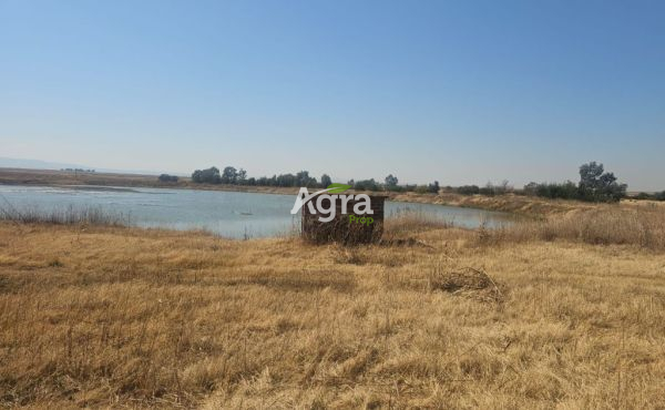 WhatsApp Image 2025-08-14 at 10.12.39_ed4cc59a